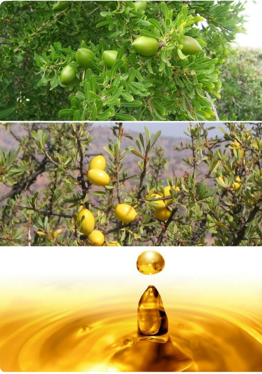 Argan Oil 100% Pure and Organic - 30ml - Epic nature 